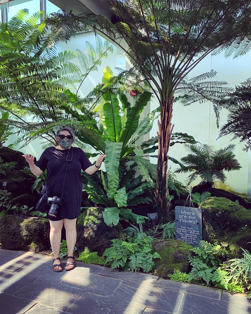 Me, in a mask, in Como Conservatory fern room
