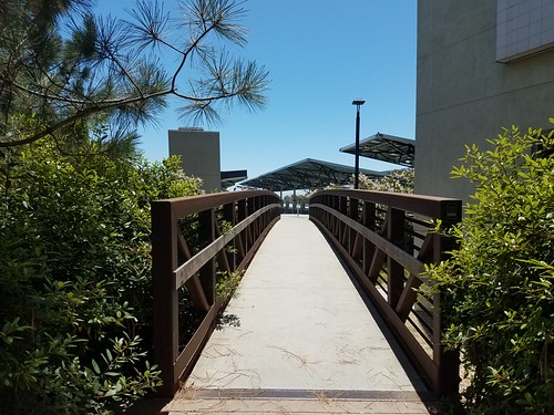 Pedestrian Bridge - UCSD Campus