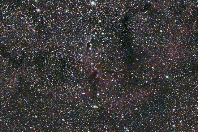 IC 1396 - Elephant Trunk Nebula