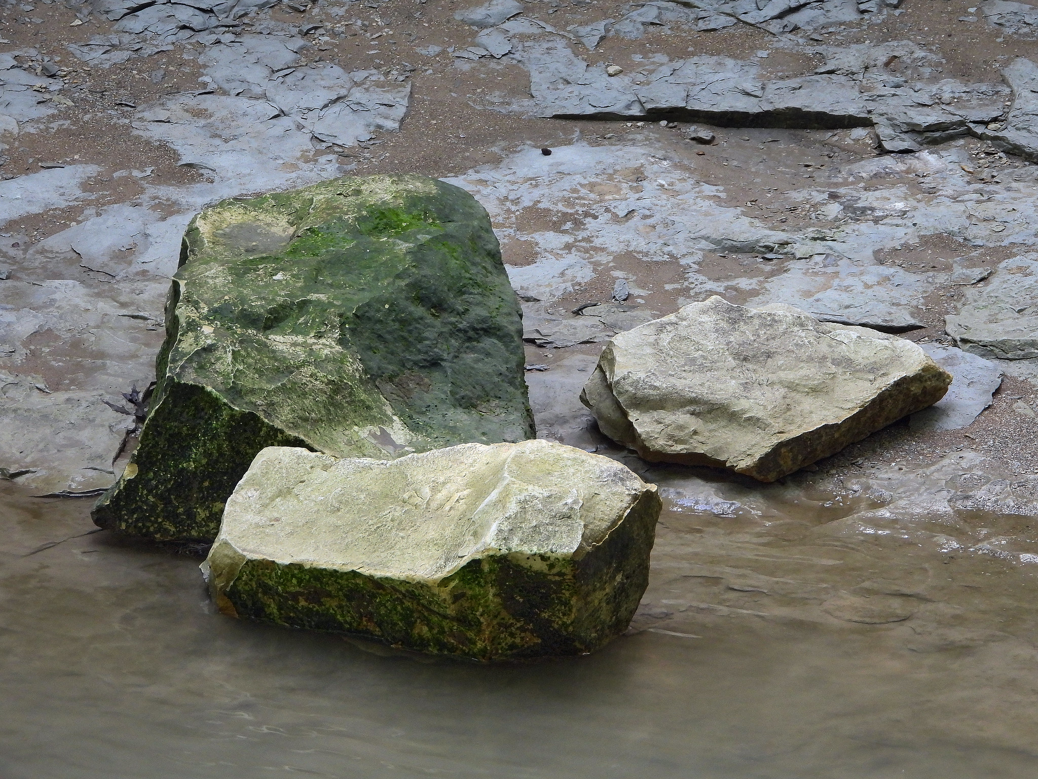 Three Rocks in the Creek