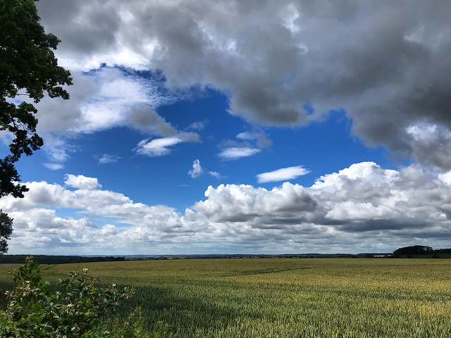 Clouds Over Fields