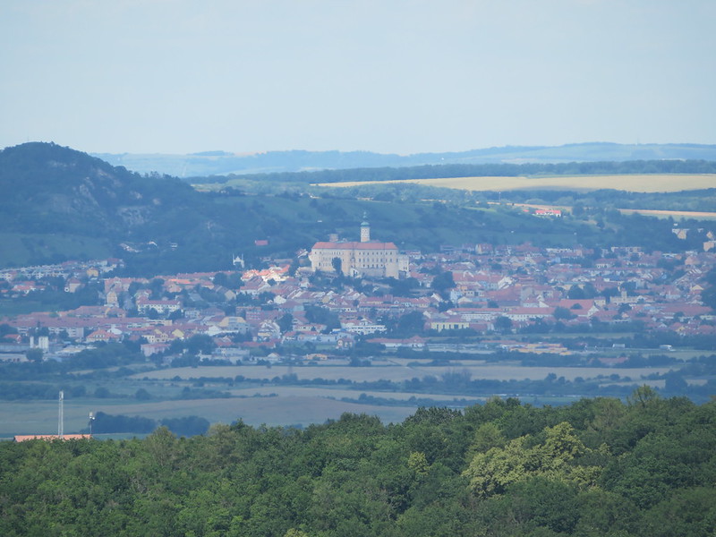 Blick von der Burg Falkenstein