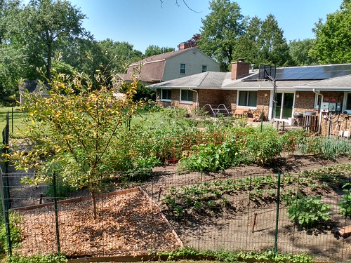 IMG_20200706_102208853_HDR