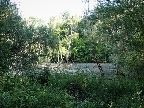 Naturschutzgebiet Neckarwasen