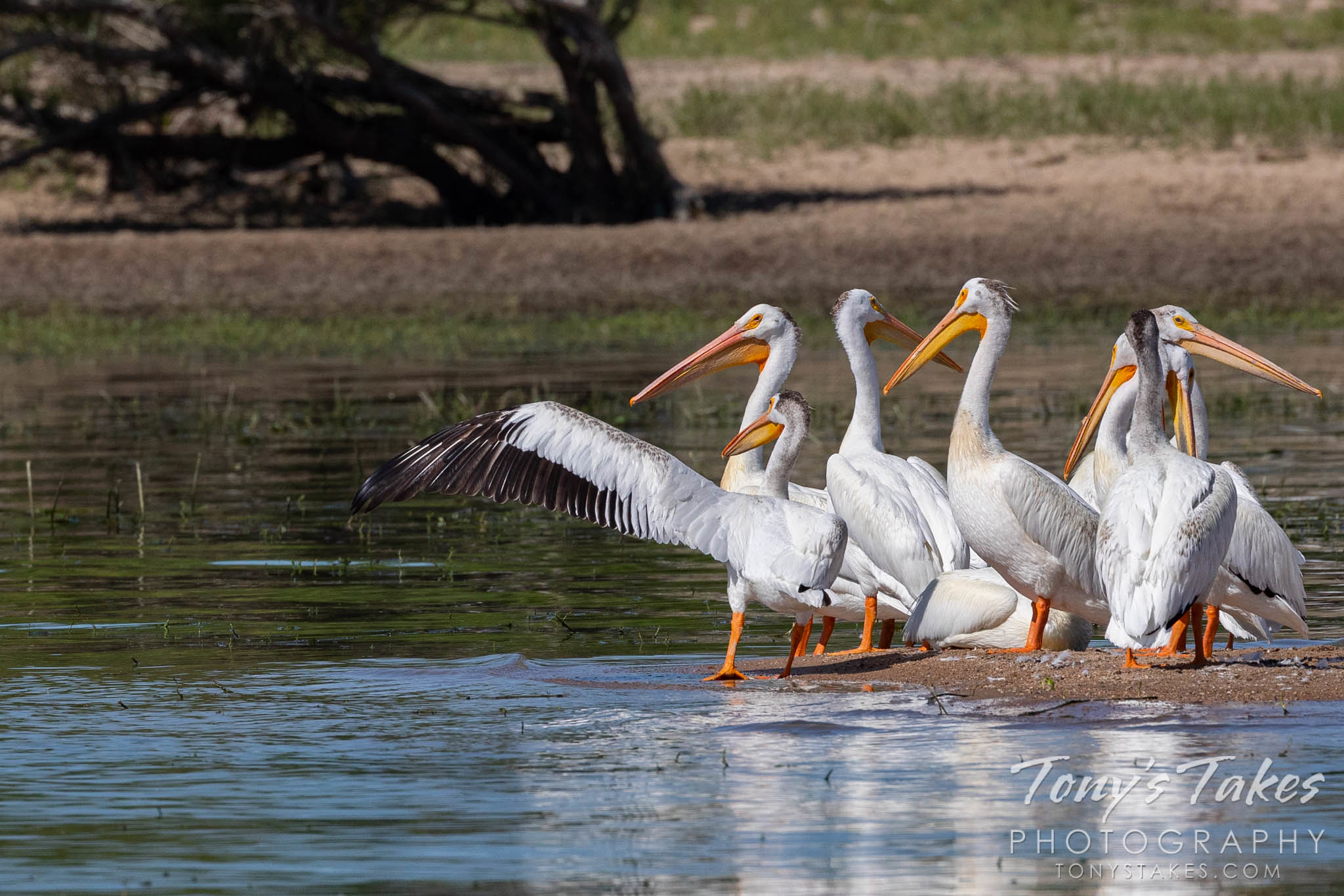 “I’m telling you, Joe. The fish are over there!”