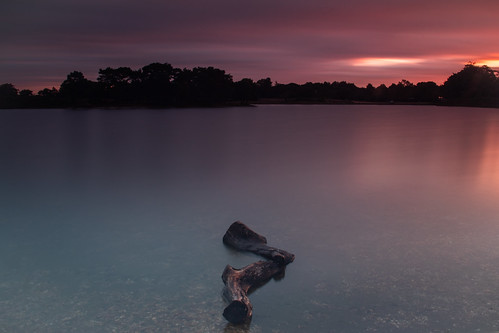 peaceful photography photograph peace water light landscape longexposure firstlight south sky smooth efs1855mm lightroom lowlight clouds canon cloud canon77d canoneos77d 122seconds ndfilter morning dawn earlymorning hatchet hatchetpond newforest nature nationalpark hampshire tripod artistic atmosphere atmospheric calm tree trees foreground perspective