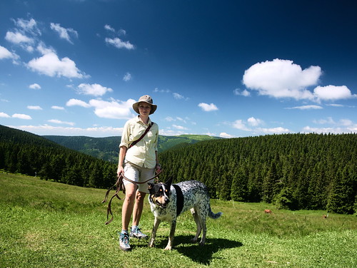 hrubýjeseník góry mountains pies dog landscape