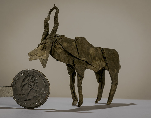 Origami Kudu