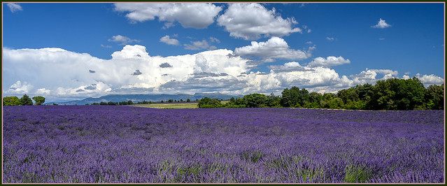 Between lavender, cloud and sun of Provence