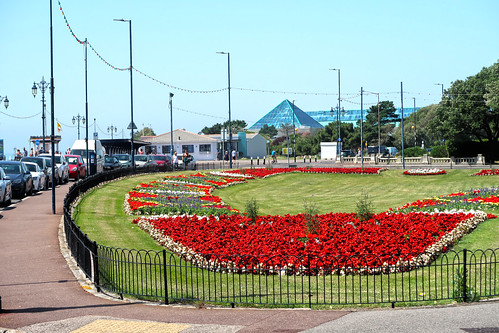 southsea flowers portsmouth thedell pyramids seafront clarenceesplanade jainbow