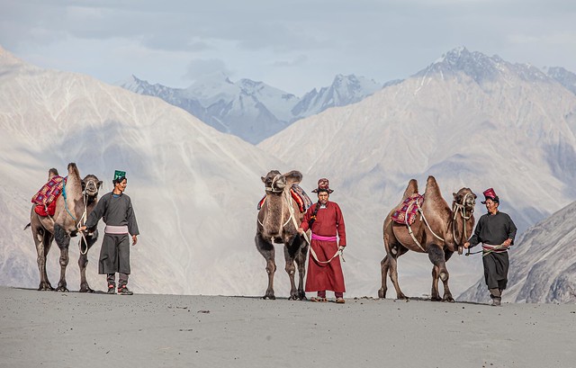 Ladakh July/August 2019