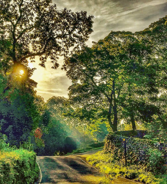 Morning light in Malham, Yorkshire
