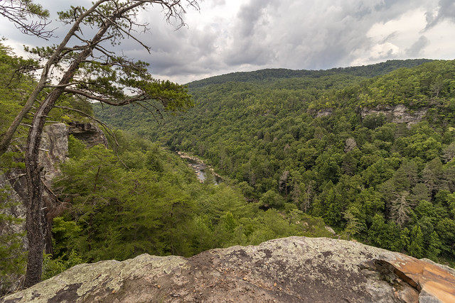 The Point overlook, Obed Wild and Scenic River, Morgan County, Tennessee