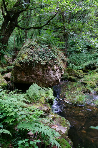 CASCADAS Y MOLINOS DE ONETA. VILLAYÓN (ASTURIAS). - Senderismo por España. Mis rutas favoritas: emblemáticas, paseos y caminatas (15)