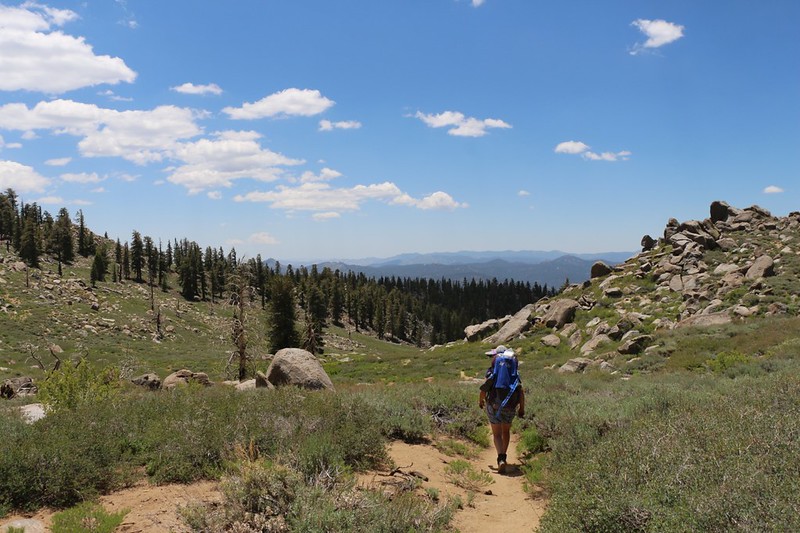 The PCT headed down upper Cow Canyon on its way to Olancha Pass - just west of Beartrap Meadow