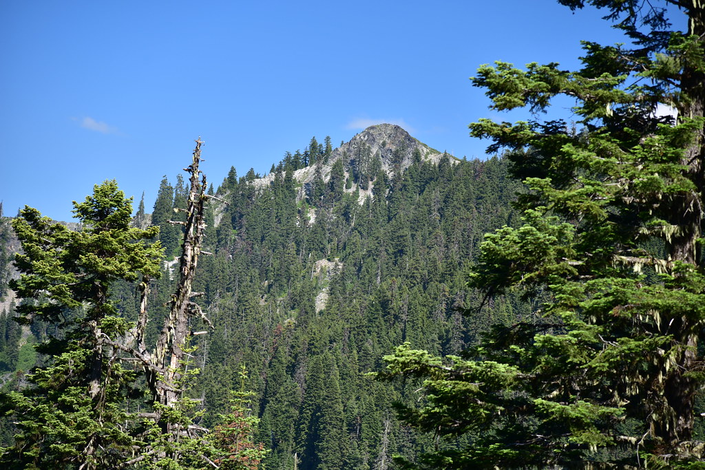 View of Tanner Mountain