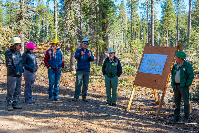 North Yuba Forest Partnership uses a Forest Resilience Bond to finance forest restoration