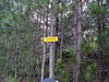 A l'extrémité du Chemin RG du Finicione : panneau sur la piste forestière