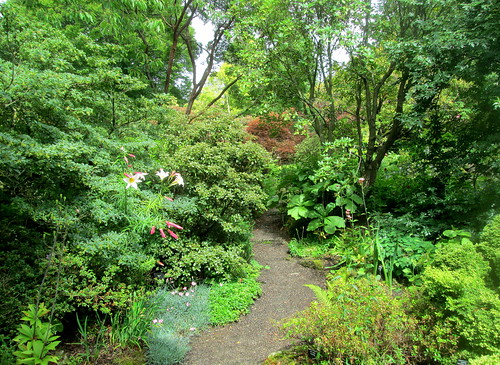 pathway , Branklyn Garden, Perth, Scotland