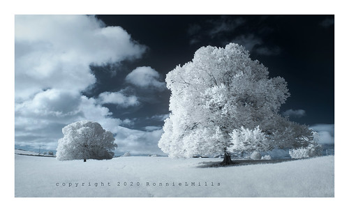infrared landscape photography converted nikon trees clouds crossgar derryboye ronnielmills