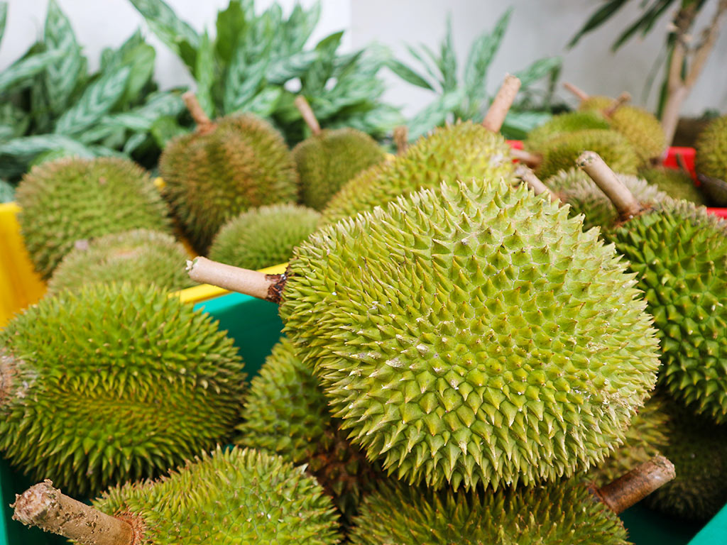 on-the-go-durian
