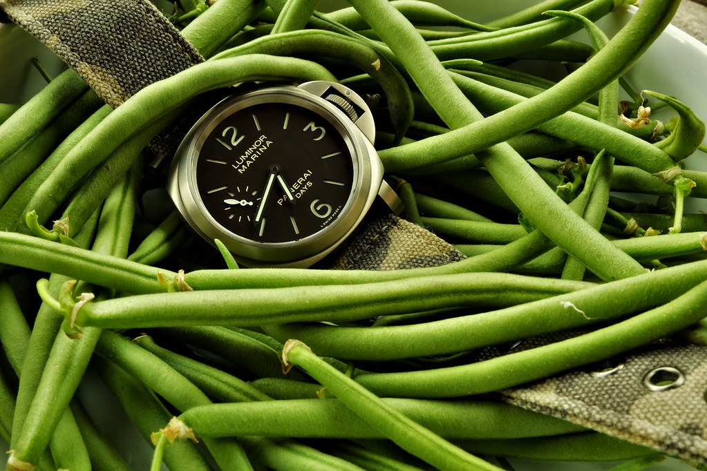 Dites-le avec des... légumes - Feu de montres potagères 50097835633_bfa3279b53_b
