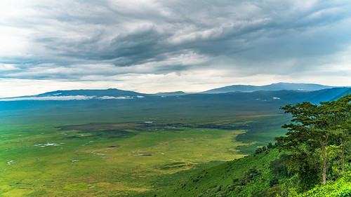 driveby ngorongoro craterview tanzania arusharegion