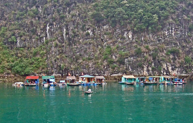 Floating Village - Halong Bay
