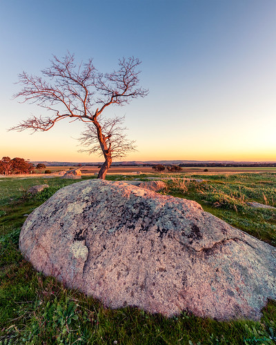 nikond810 batesford geelong landscape dog rocks golden light sunset granite winter 1424mm