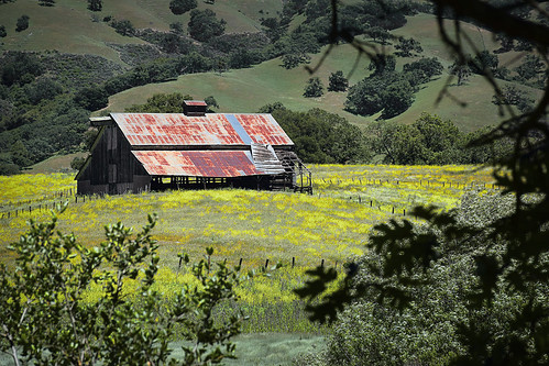 california ca bayarea sanfranciscobayarea field flower barn hill spring landscape usa countryside farm farming d5300 sanjose washburnbarn agriculture