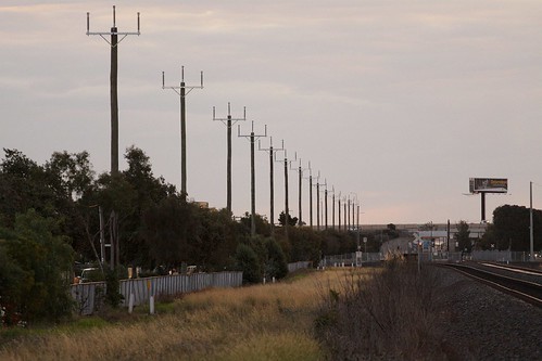 New poles ready to carry 66 kV lines from Deer Park Terminal Station to Sunshine Zone Substation