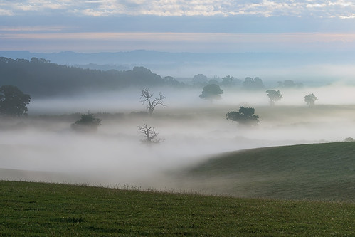weethley warwickshire mist misty summer summermist landscape sony a7iii 70200mmf4 jactoll
