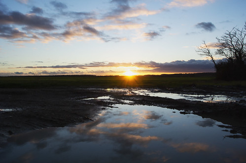 puddle reflection sunset winter fingrithhallroad writtle essex nortonheath