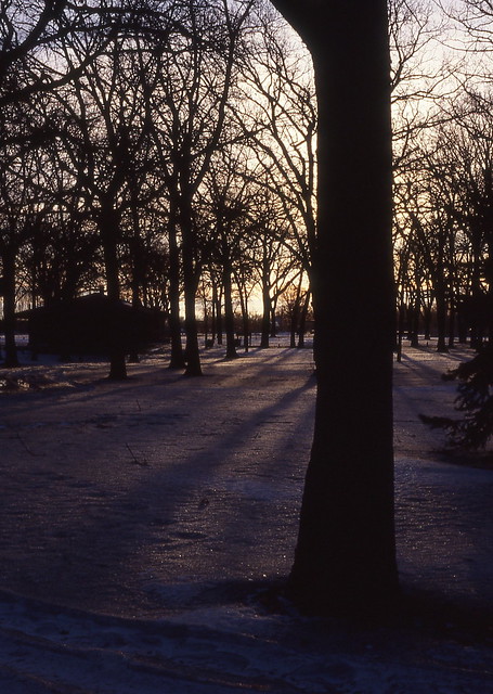 Winter evening, Lindenwood Park