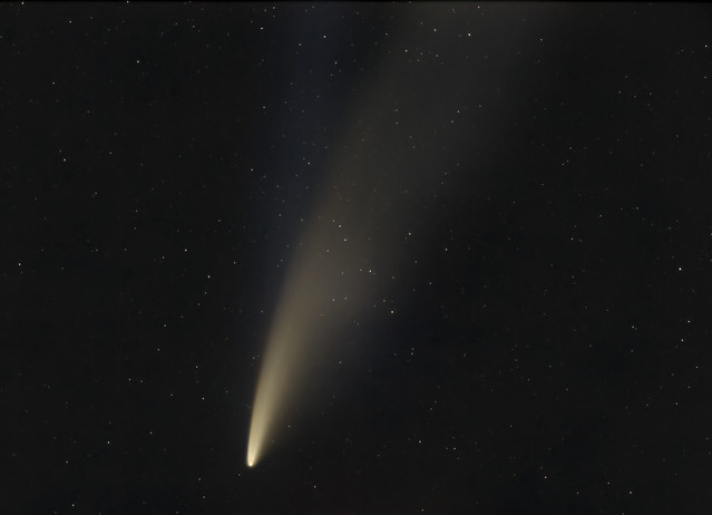 The two tails of comet Neowise
