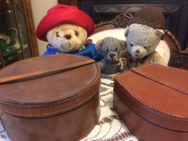 Paddington, Scout and the Collar Boxes 1.