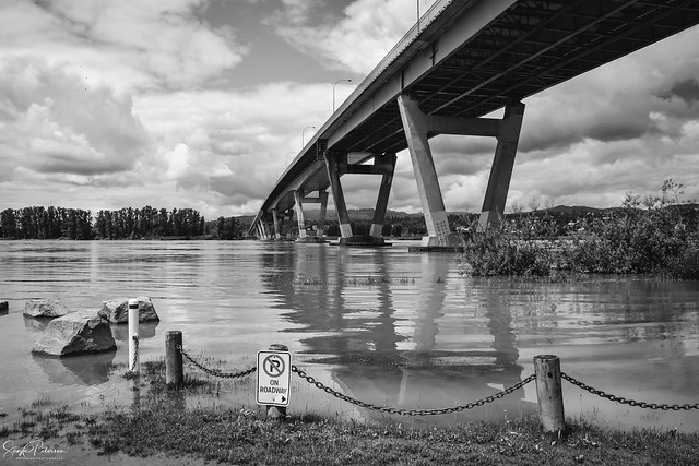 Matsqui Trail Regional Park (Fraser River Flooding)