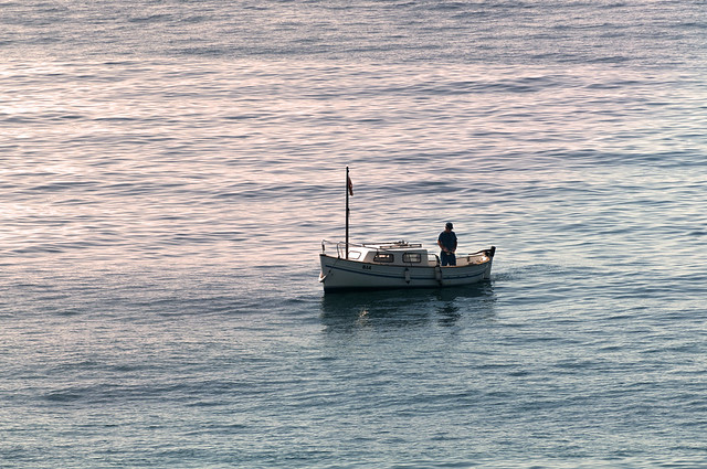 Fishing at dawn.