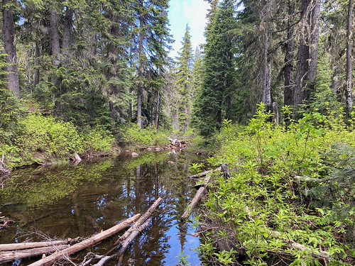 High lake