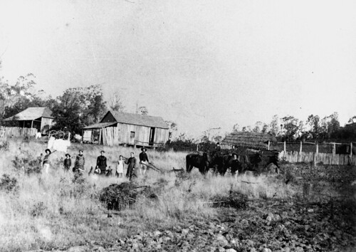 deutschland queensland immigrants germans fences farms ploughing timberbuildings horses wagon hats shotgun