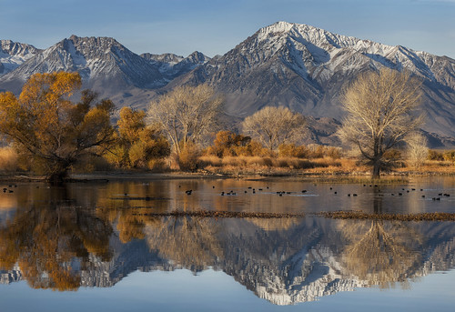 canoneos5dmarkii canonef70200mmf28lisusm bishop california ca usa sierra easternsierra sunrise morning light snow dusting mountains autumn fall color lake seasonal water pond reflection reflections mountain