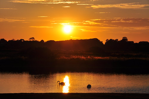southwold sunset sun glitterpath reflection silhouettes sky swans