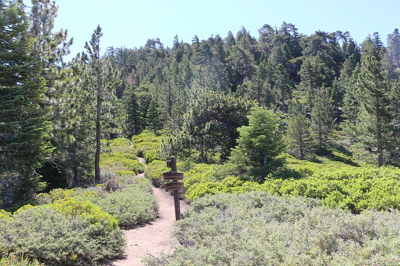 It took me almost three hours to reach the John's Meadow Trail junction on the San Bernardino Peak Trail