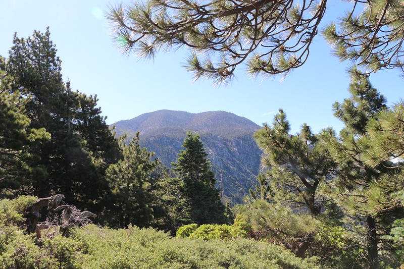 After two hours of hiking I was finally able to see San Bernardino Peak from the trail