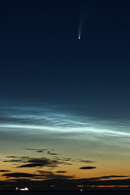 Noctilucent Clouds and Comet Neowise