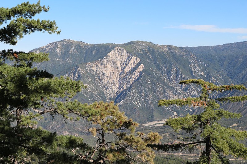 Across the way is Slide Peak (7841 feet elevation) which is quite a landmark on the San Bernardino Peak Trail