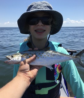 Photo of girl with a Spanish mackerel she caught