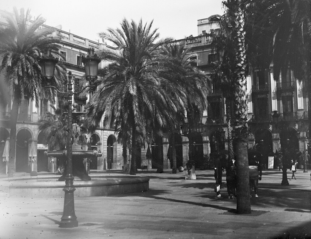 Palmeres fosques / Dark palm trees