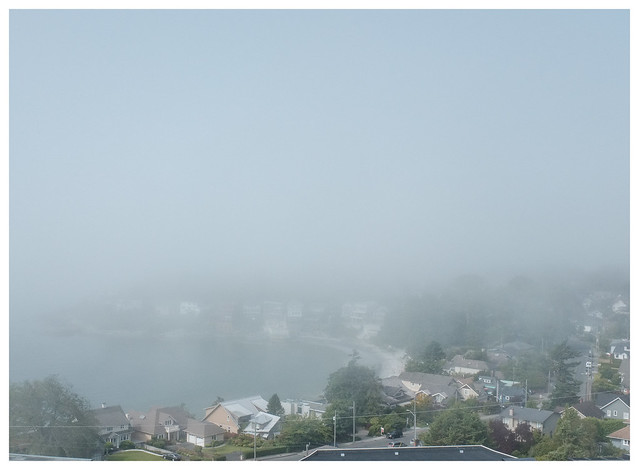 gonzales bay (fog effect)