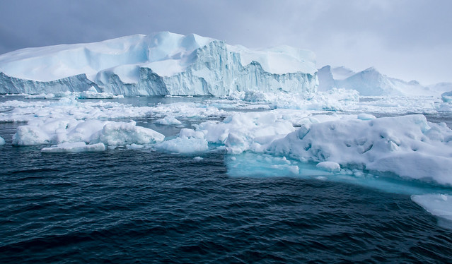 Icebergs in the Disko Bay
